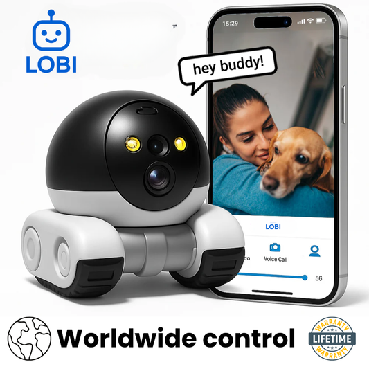 LOBI 2024